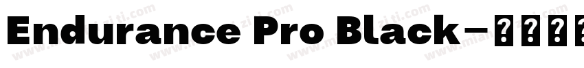 Endurance Pro Black字体转换